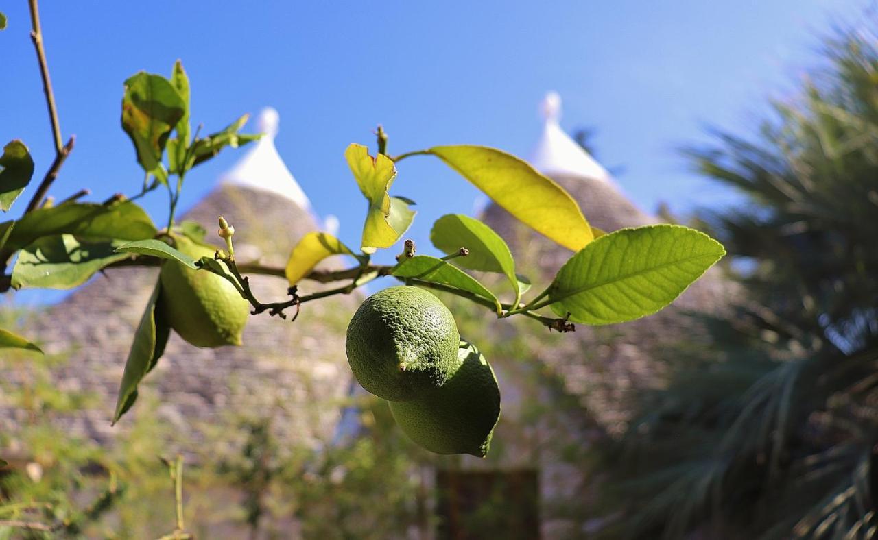 Vila Trulli And Nature Antonelli Exteriér fotografie