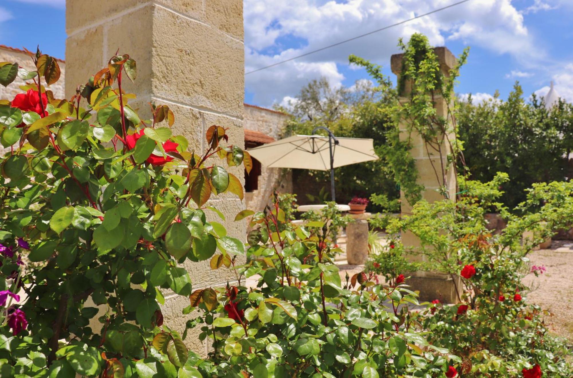 Vila Trulli And Nature Antonelli Pokoj fotografie