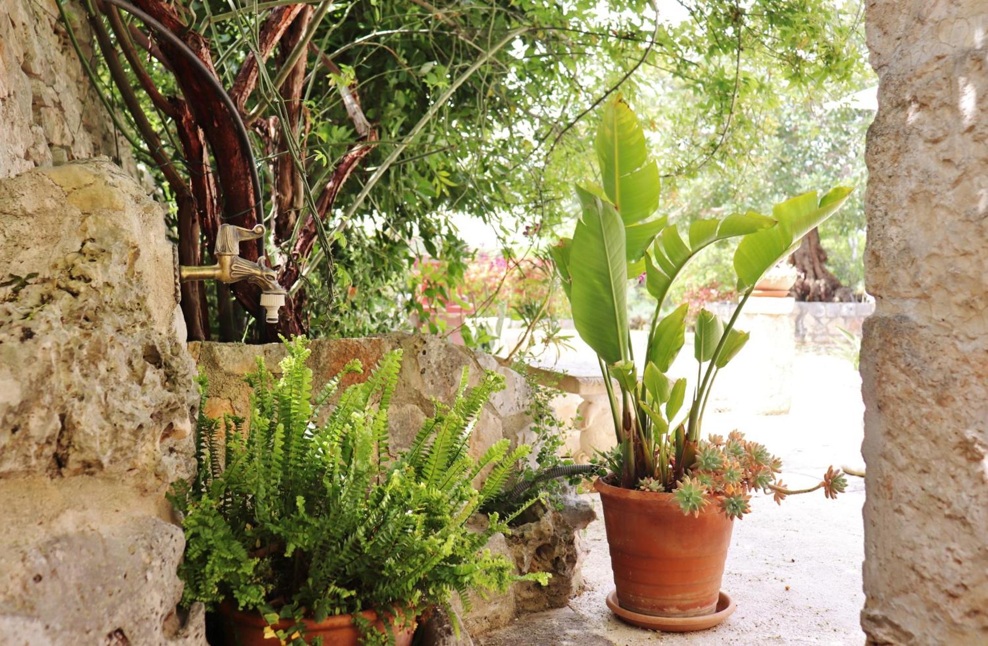 Vila Trulli And Nature Antonelli Pokoj fotografie