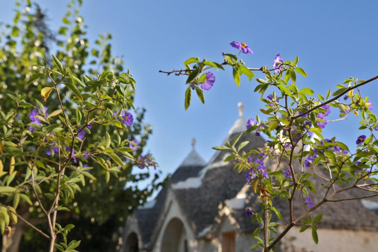 Vila Trulli And Nature Antonelli Exteriér fotografie