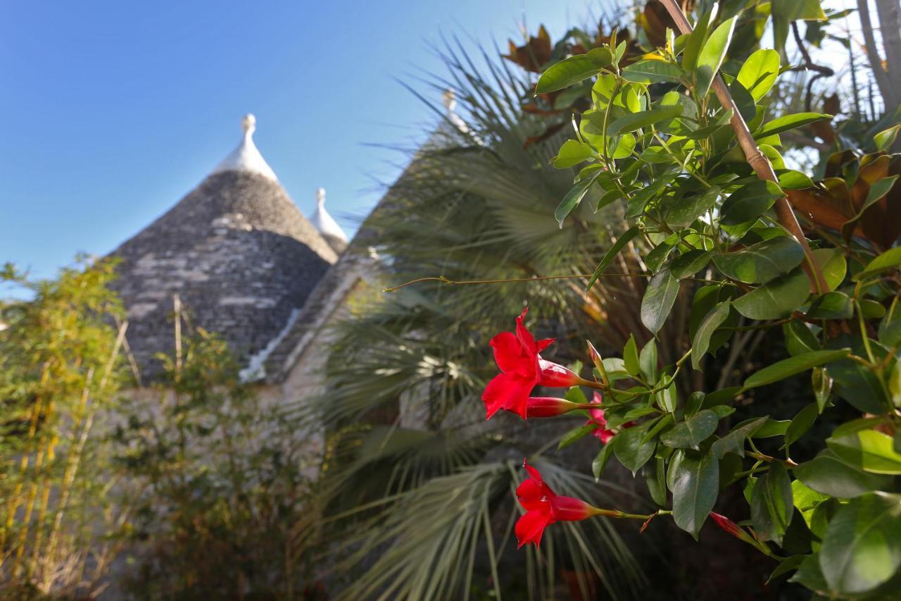 Vila Trulli And Nature Antonelli Exteriér fotografie